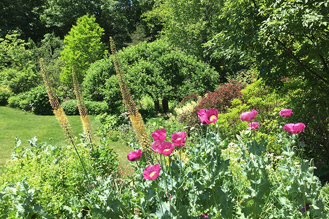 Digging Deeper: The Evolution of a Gardener